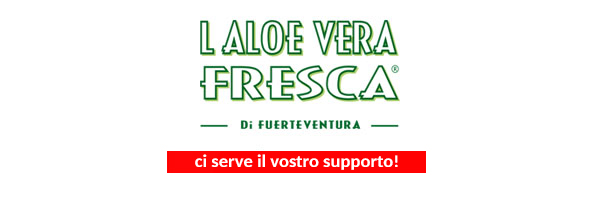 header-it.jpg